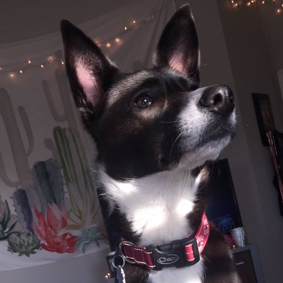 Meet your Posher, Michaela - Picture 11 of 12